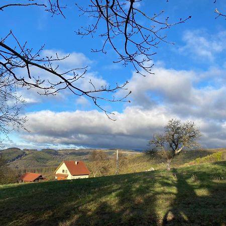 Nature Homestay Trenčín Extérieur photo