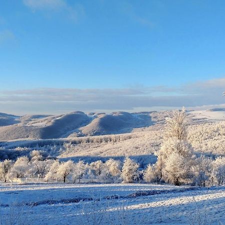 Nature Homestay Trenčín Extérieur photo