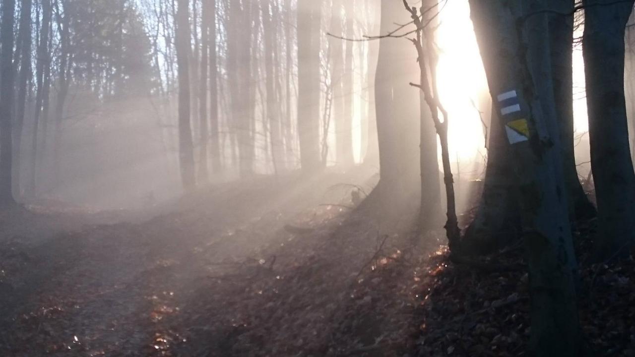 Nature Homestay Trenčín Extérieur photo