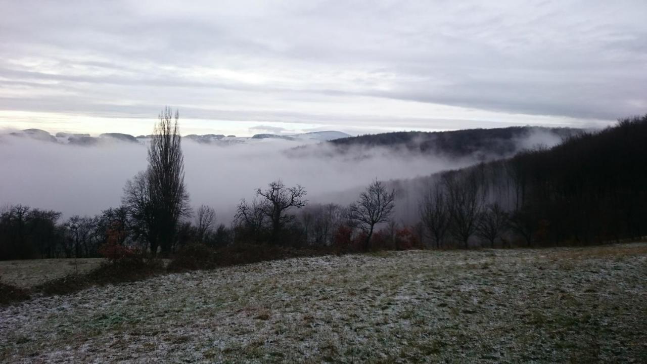 Nature Homestay Trenčín Extérieur photo