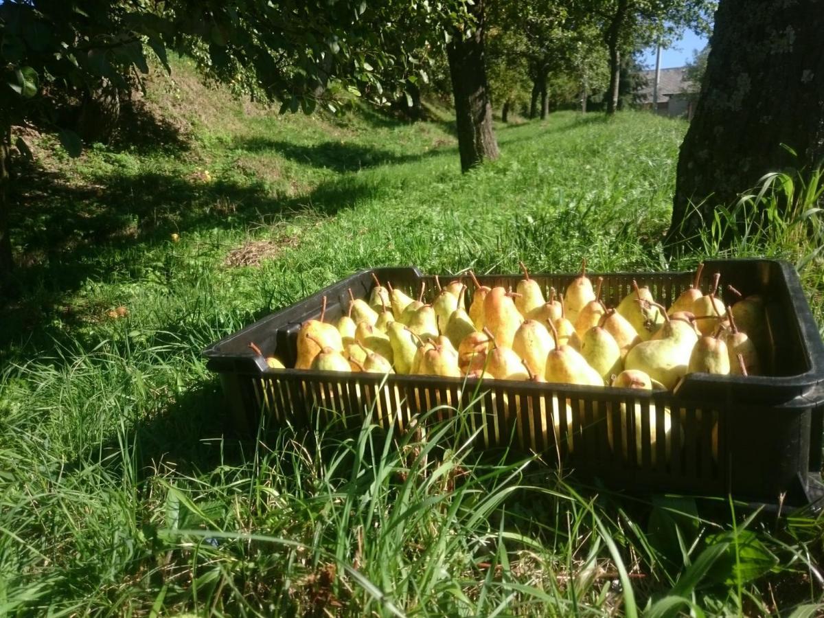 Nature Homestay Trenčín Extérieur photo