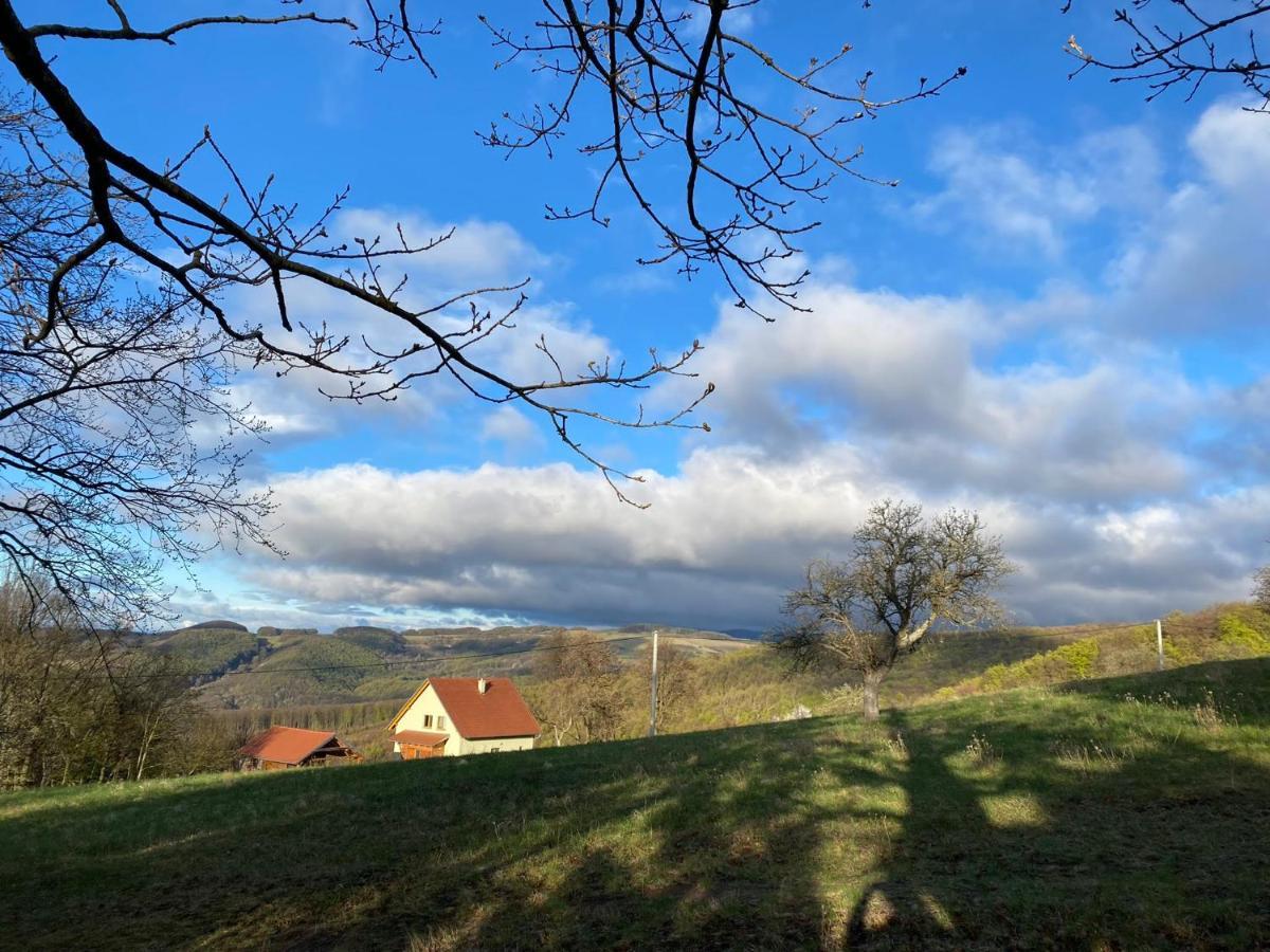 Nature Homestay Trenčín Extérieur photo