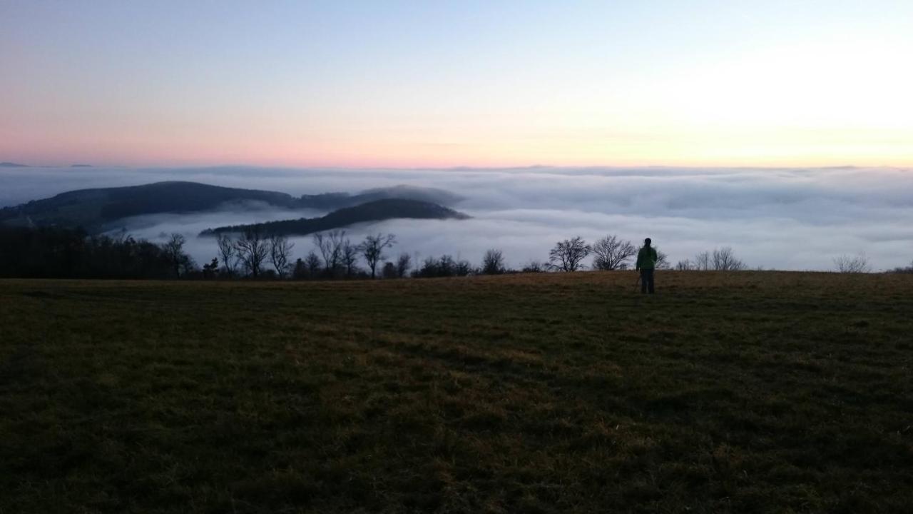 Nature Homestay Trenčín Extérieur photo