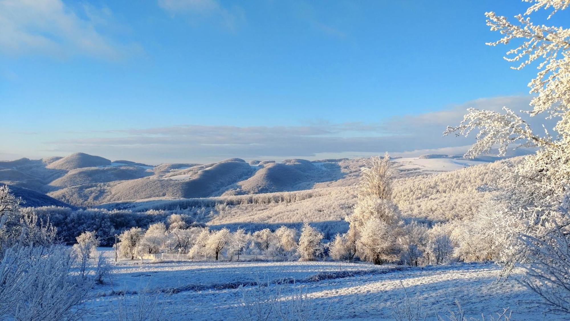 Nature Homestay Trenčín Extérieur photo